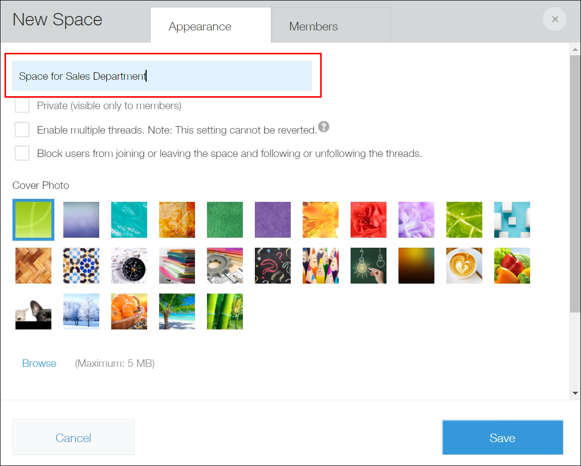 Screenshot: The space name field is outlined on the "Appearance" tab