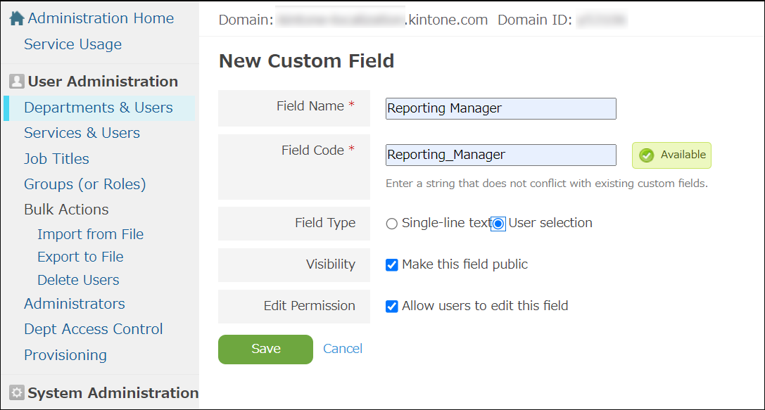 Screenshot: An example of the "New Custom Field" screen