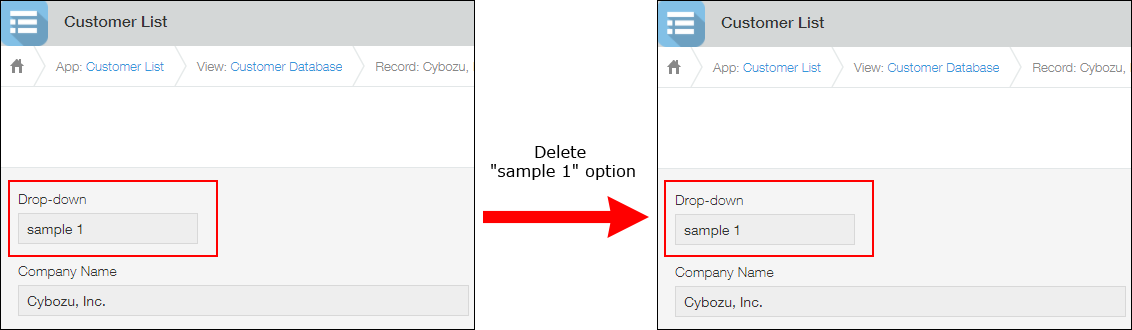 Example of deleting an option from an option field