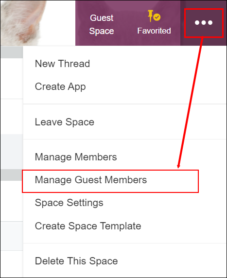 Screenshot: "Manage Guest Members" is outlined in the menu displayed after clicking the "Options" icon