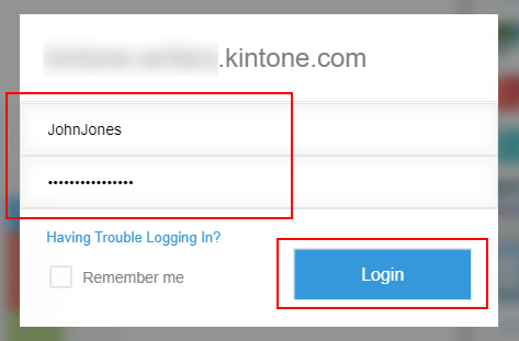 Screenshot: Entering the login information and logging in