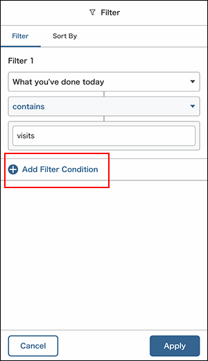 Screenshot: The "Add Filter Condition" button is outlined