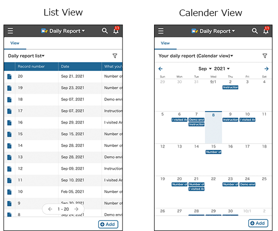 Screenshot: A "View" screen is shown using the list view and calendar view display formats